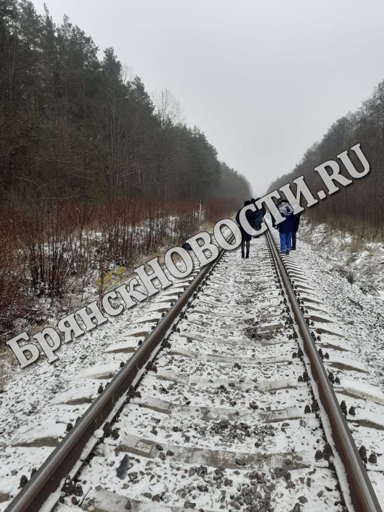 Два человека погибли под поездами в Брянской области 13 декабря