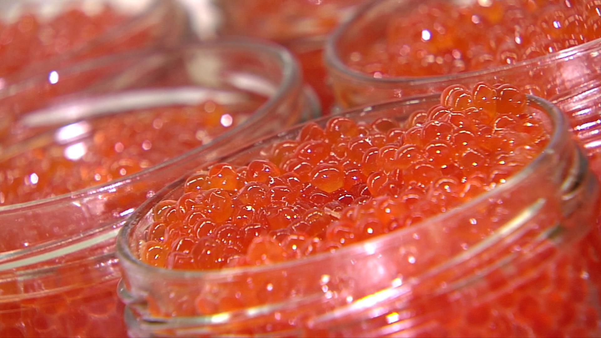 Под Новый год в Брянской области утилизировано более 5500 банок контрафактной красной икры