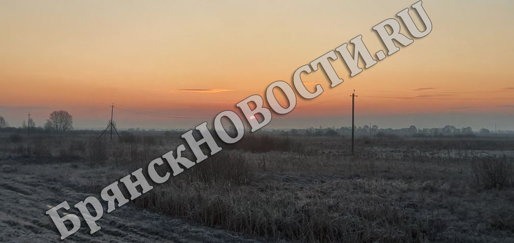 Плюсовую температуру обещают Брянской области на Новый год