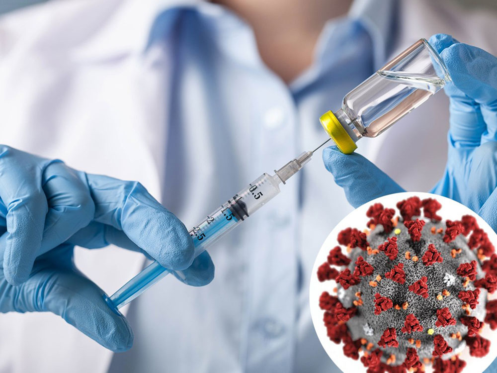 Как образуются антитела после вакцины у жителей Брянской области