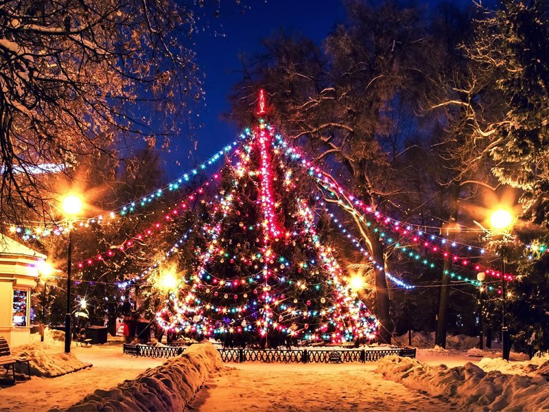 Новогодняя елка в Брянске вошла в топ-10 самых высоких в России