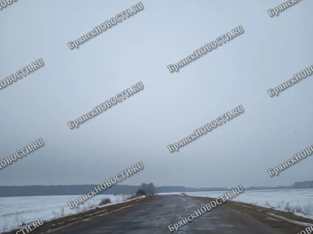 27 января на территории Брянской области возможен снег и мокрый снег