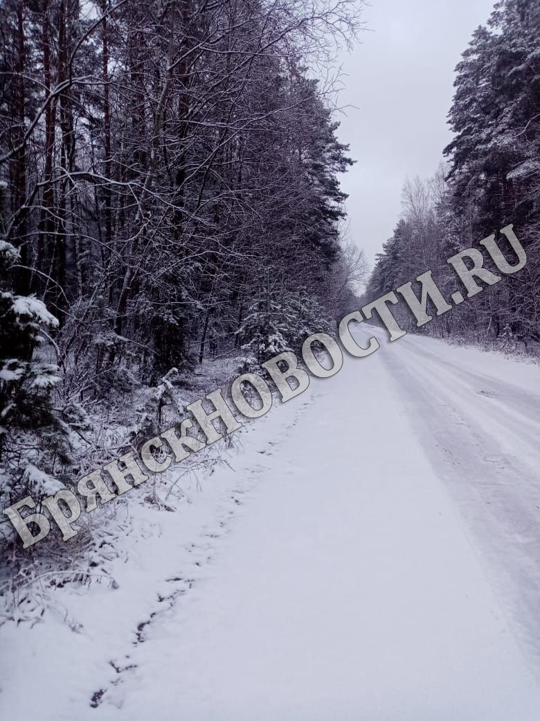 Для ликвидации снегопадов на трассах в Брянской области задействовали 75 единиц техники