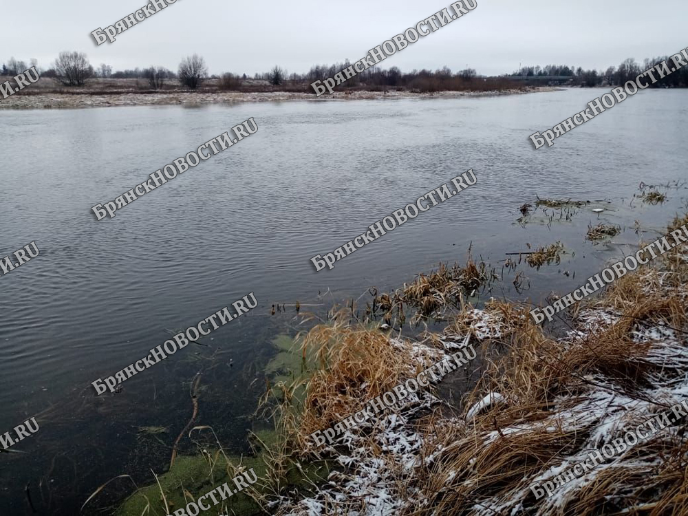 Весна в Брянскую область придет рано