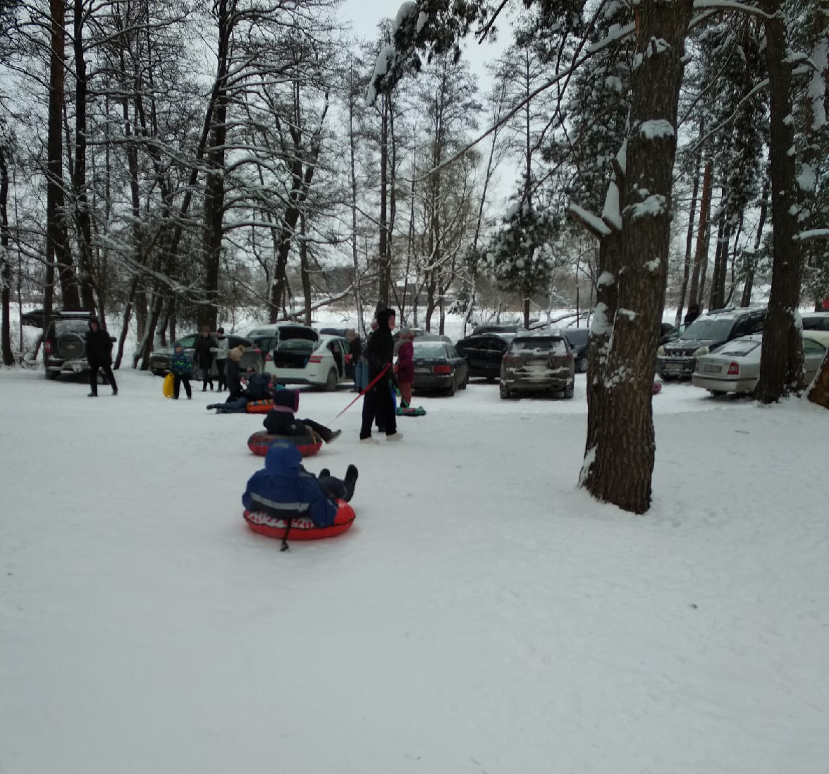 Морозная встряска полезна брянцам, но не всем