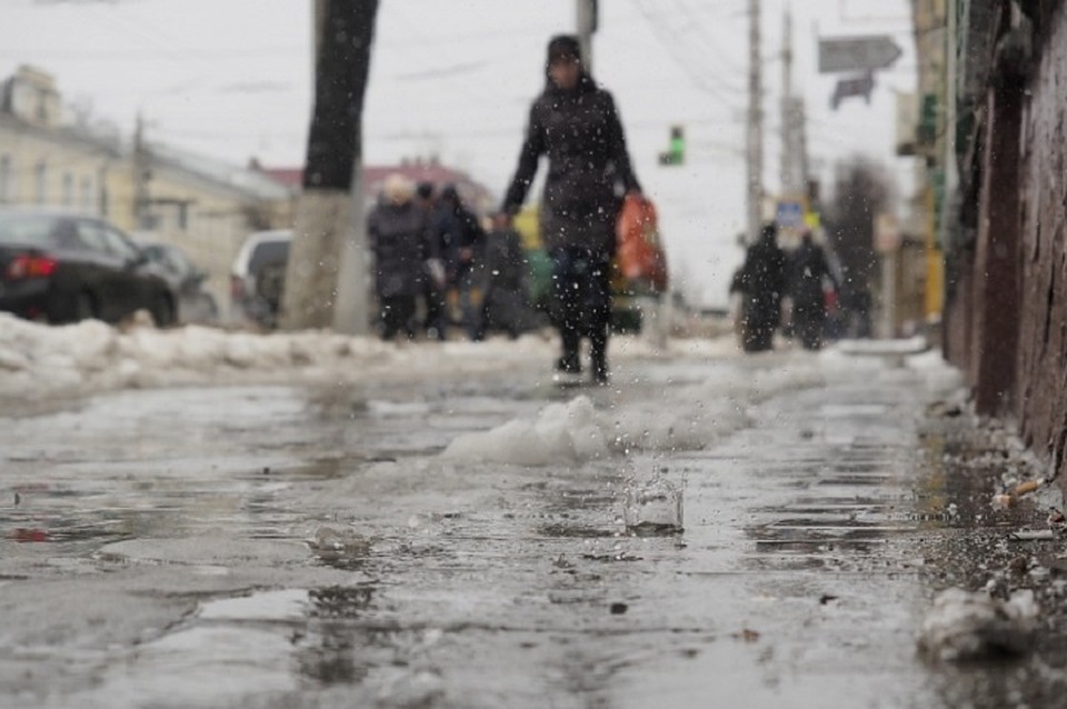 Жителей Брянской области предупредили о дожде, гололедице и сильном ветре