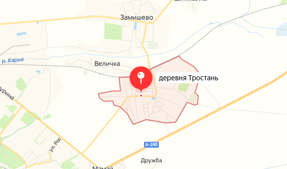Под Новозыбковом вновь тушили пожар в Тростани