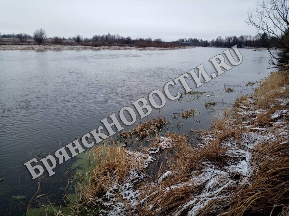 Данные МЧС по толщине льда на озерах и реках Брянской области