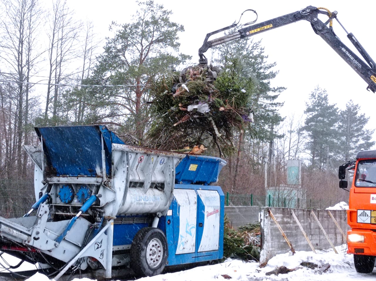 Выброшенные новогодние елки, пихты и сосны в Брянской области перерабатывают в щепу