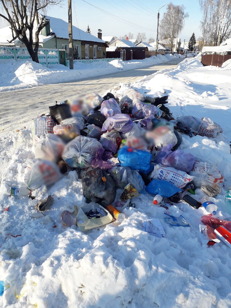 Жителям улицы Транспортной в Брянске пообещали на месте свалки установить контейнер