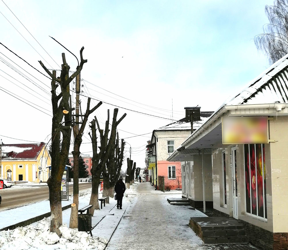 В Новозыбкове продолжают негодовать по поводу обрезки деревьев