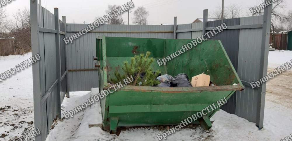 В Брянской области еще не обустроили все точки сбора мусора, но уже утвердили «карающий» закон