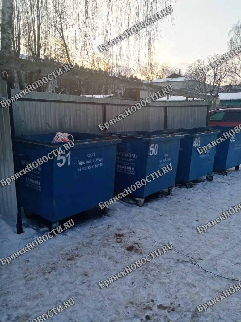 Новая реформа по вывозу мусора «обросла» миллионными должниками в Брянской области