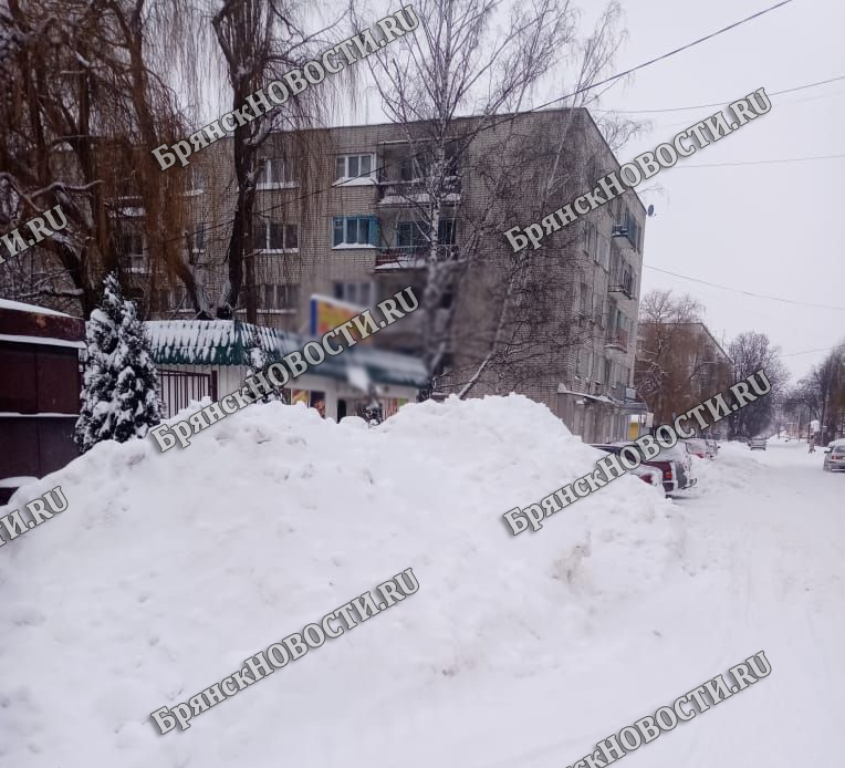 13 февраля на территории Брянской области местами сильный и умеренный снег