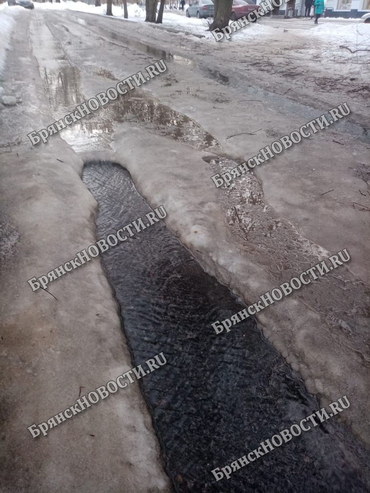 Как работали в снегопад по уборке улиц, такие дороги получили и к марту в Новозыбкове
