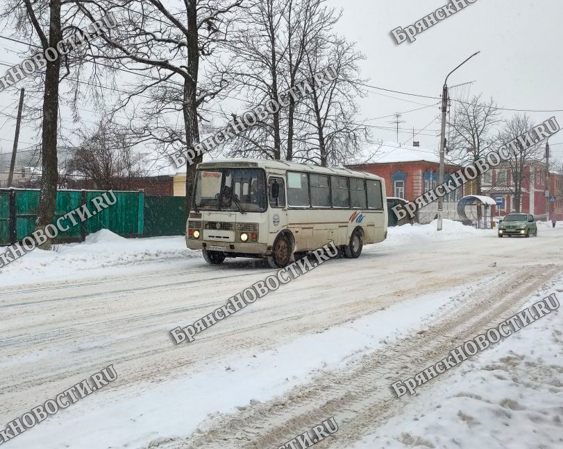 В Брянской области автоинспекторы проверят автобусы