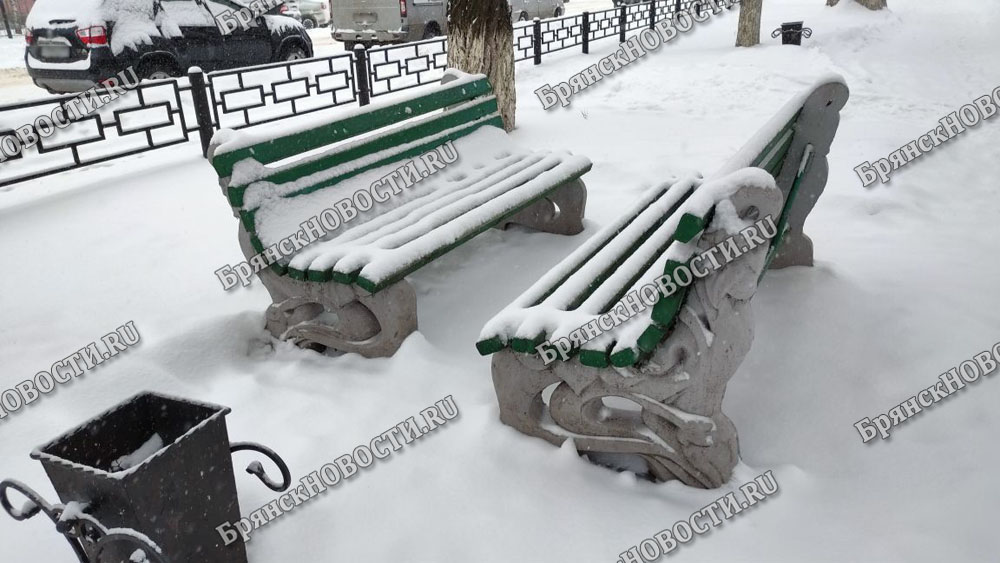 11 февраля на территории Брянской области снег и мороз