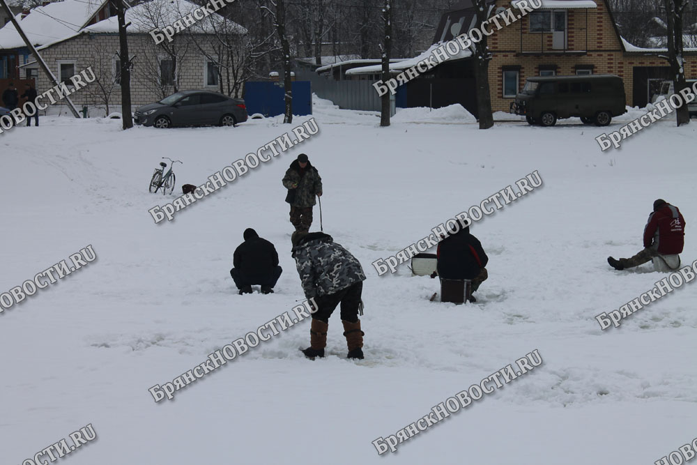 Чемпионат Брянской области по рыболовному спорту на мормышку со льда набирает участников