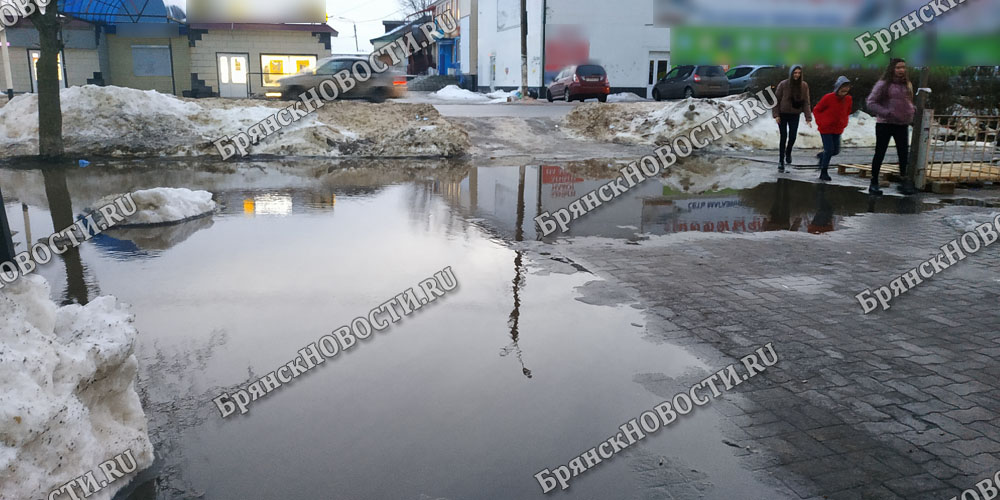 Тротуары затопило в центре Новозыбкова