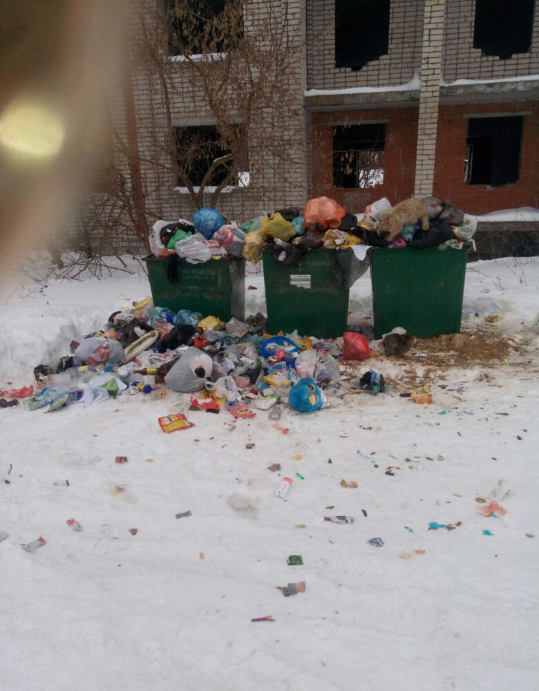 В Клинцах пожаловались на не вывезенный мусор
