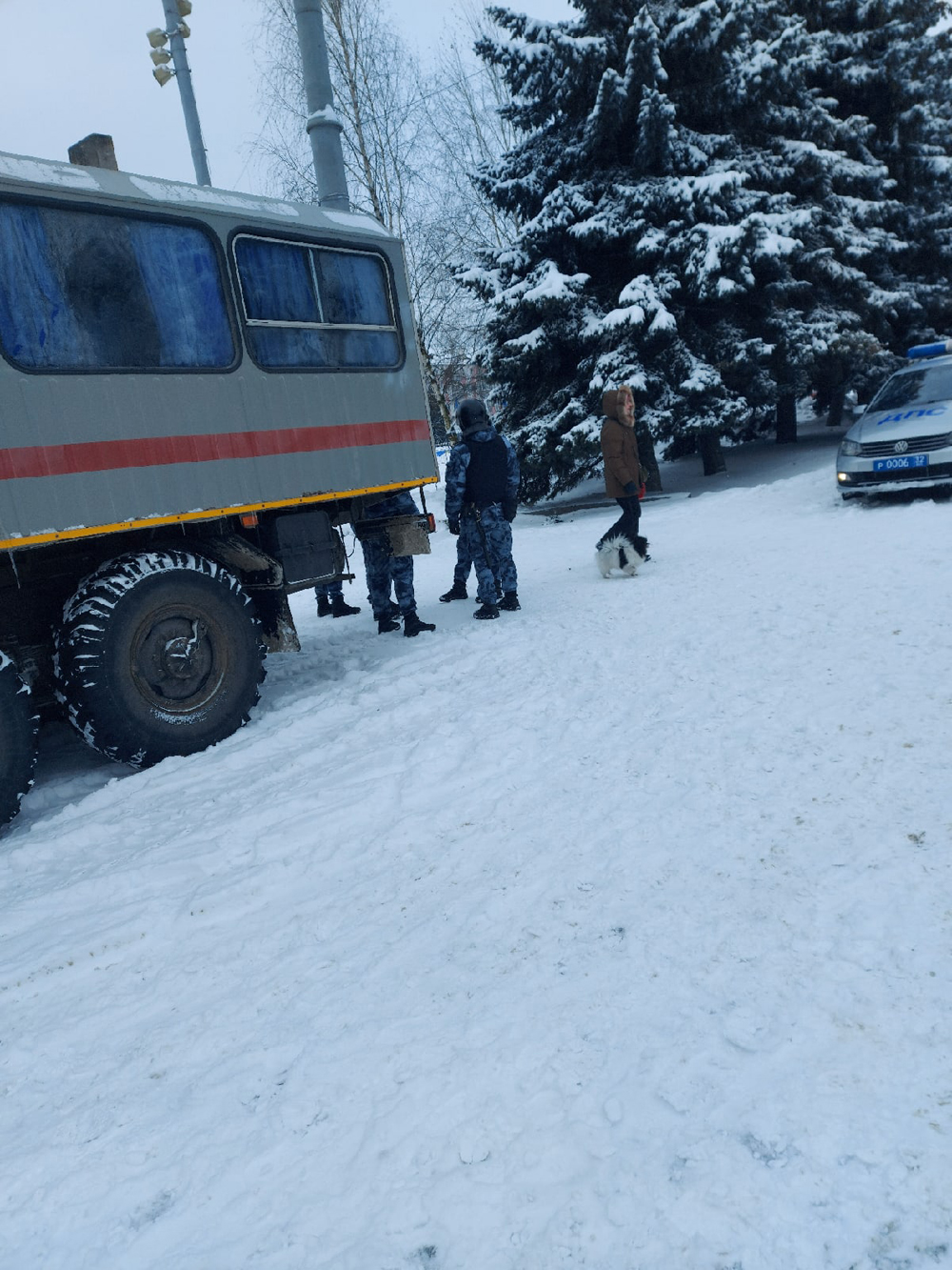 Названо число задержанных в Брянске 31 января