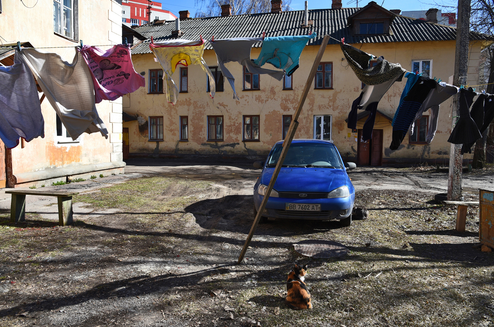 «Весенний ветер» в Брянске занял второе место на международном фотоконкурсе