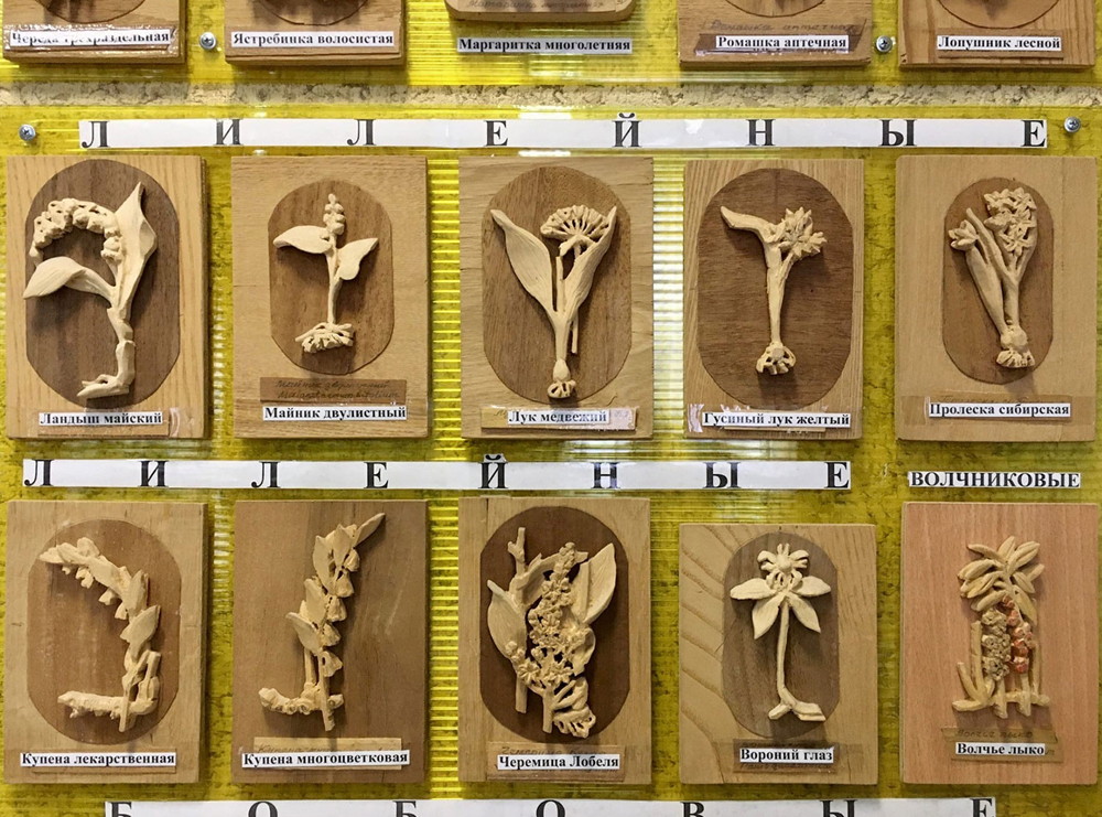 Брянский мастер создал из дерева «живую» коллекцию травянистых растений