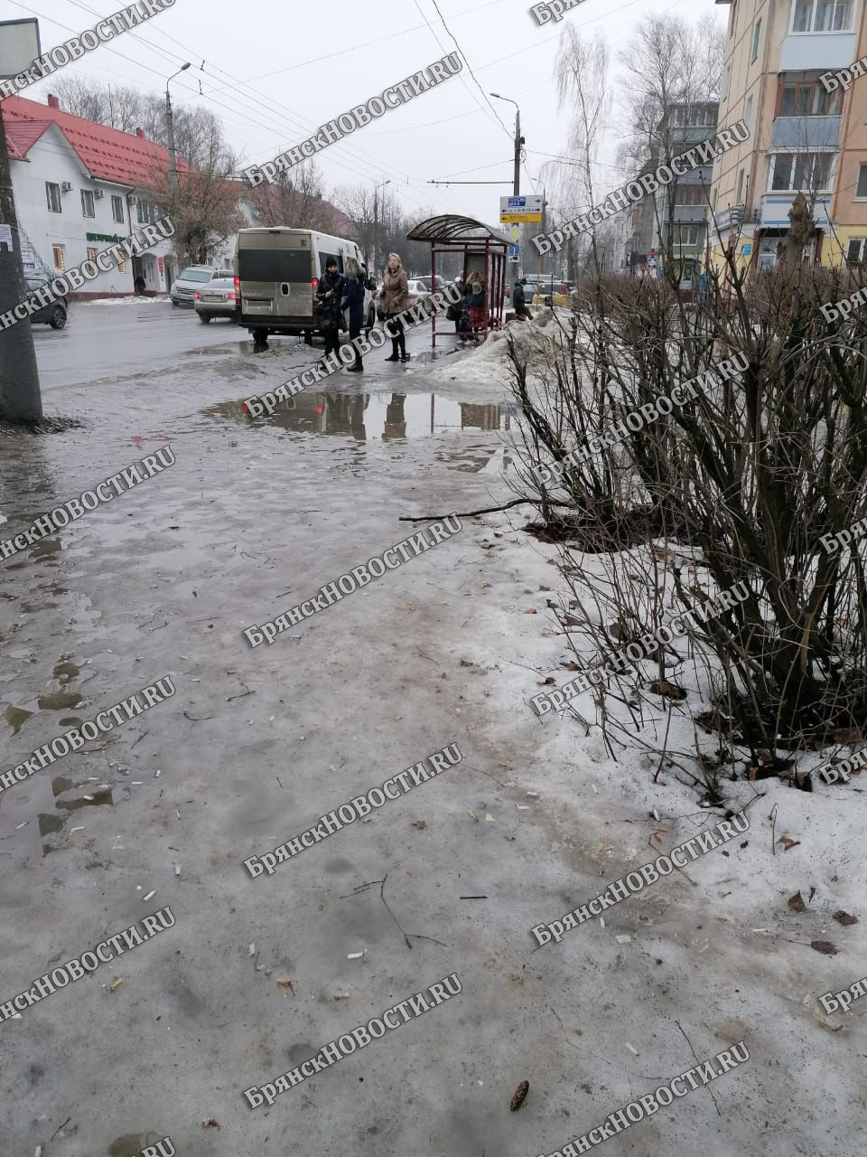 Брянск плывет: из-за резкого потепления улицы столица региона уходят под воду