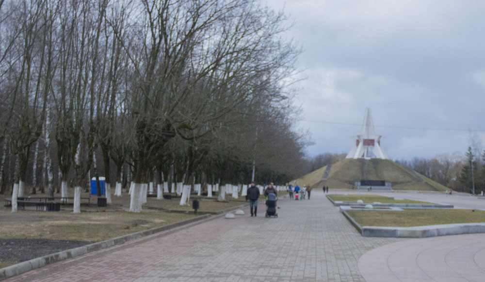 За жестокую расправу над тещей в Брянской области судят мужчину