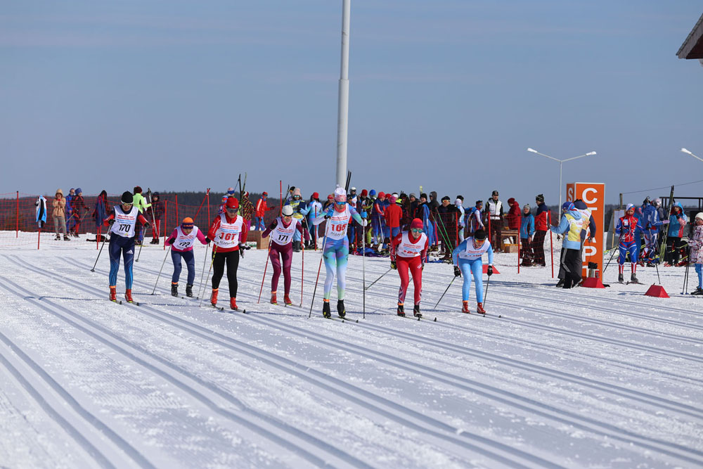 В Брянске планируют создать центр лыжного спорта