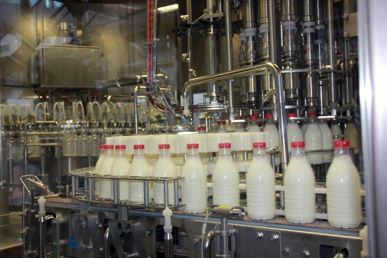 Брянский молочный комбинат выпускал продукцию с «букетом приправ»