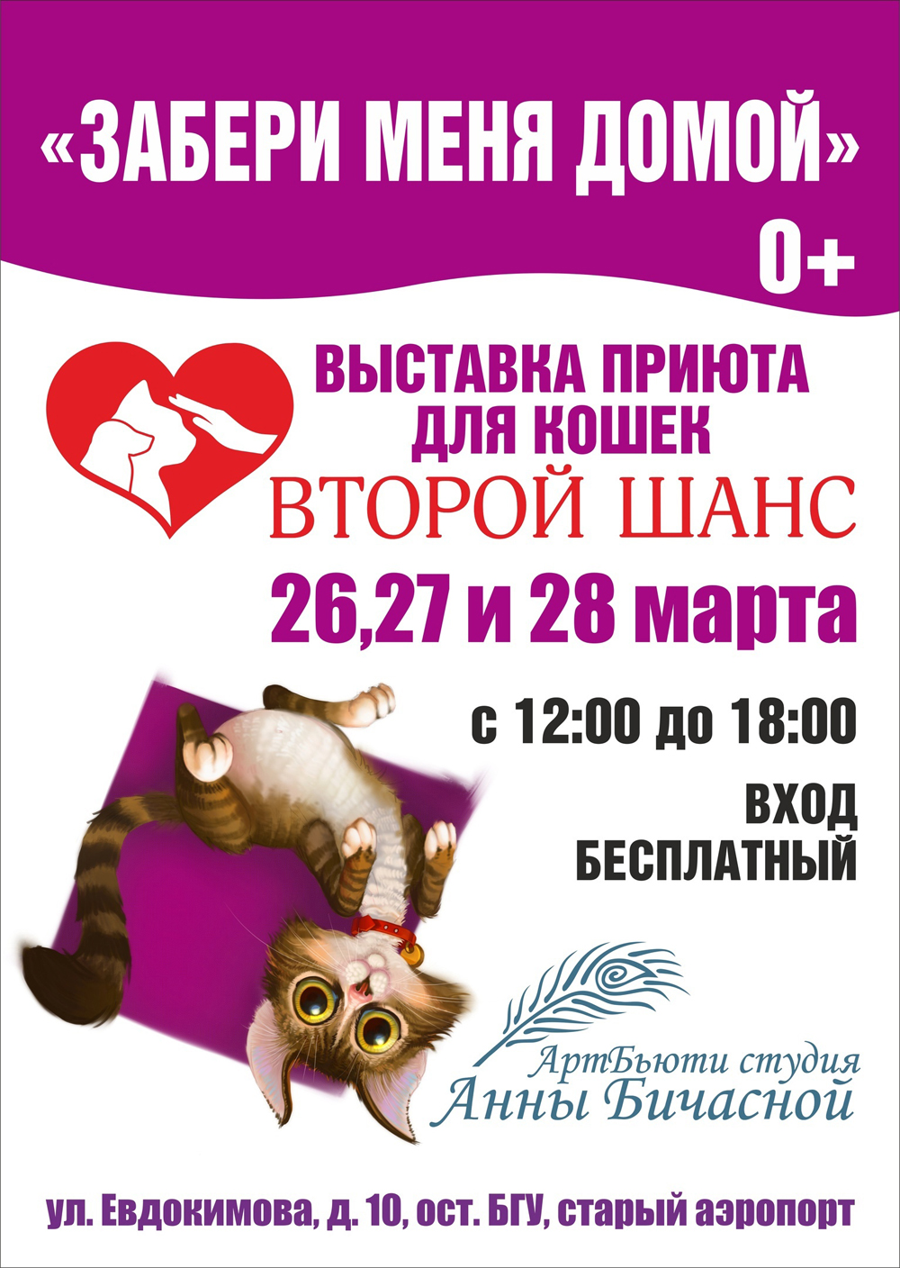 26, 27 и 28 марта в Брянске пройдет благотворительная выставка кошек «Забери меня домой»