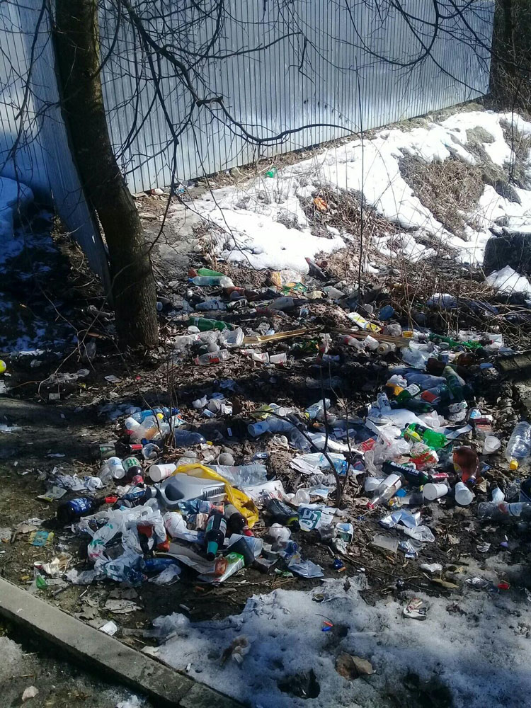 Жители Сельцо загадили природоохранную зону на улице Кирова