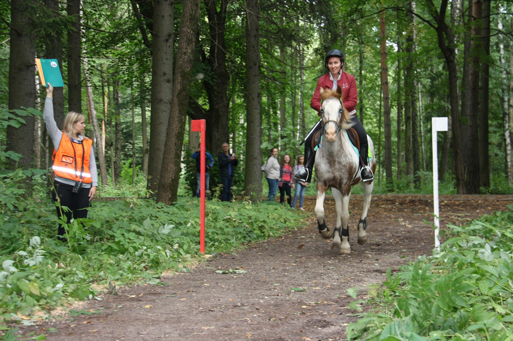 В Брянске впервые пройдут соревнования по конному туризму