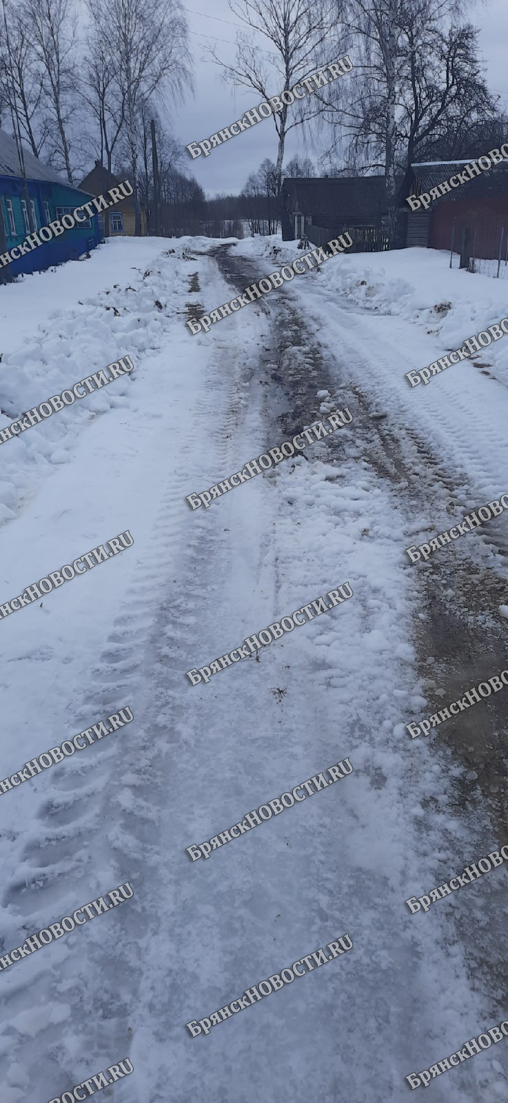 После порции критики суражскую деревню вычистили от снега