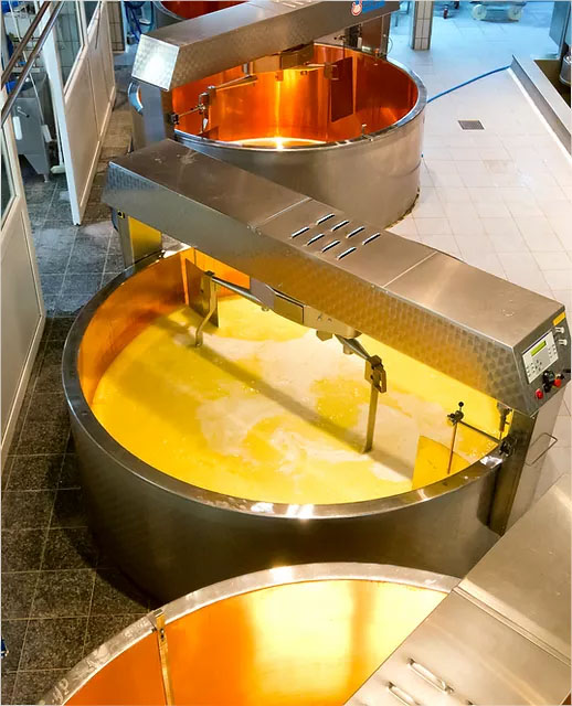 Завод по производству сыра в Брянской области второй раз оштрафован за фальсификацию