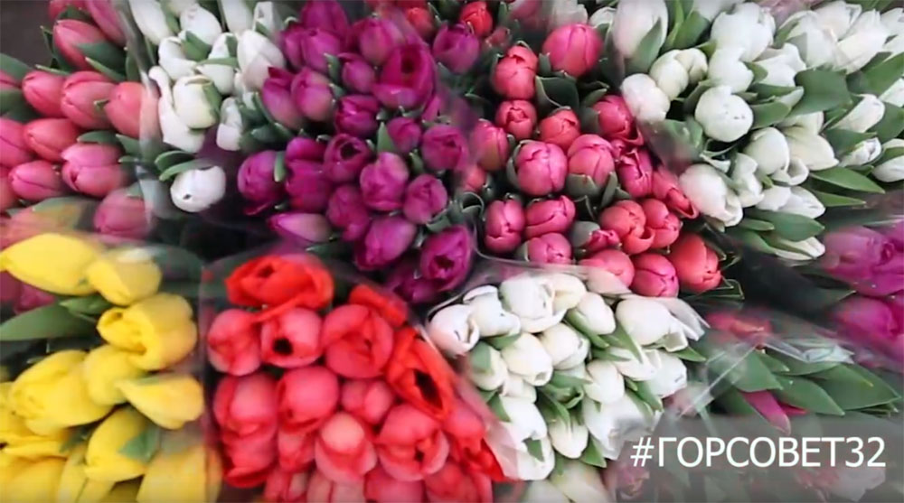 В этом году брянские цветоводы установили рекорд по количеству тюльпанов