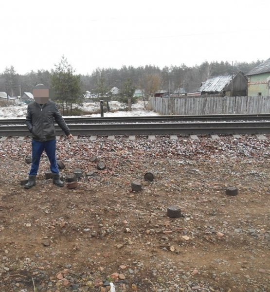 В Брянской области мужчина пытался похитить металлолом с грузового состава
