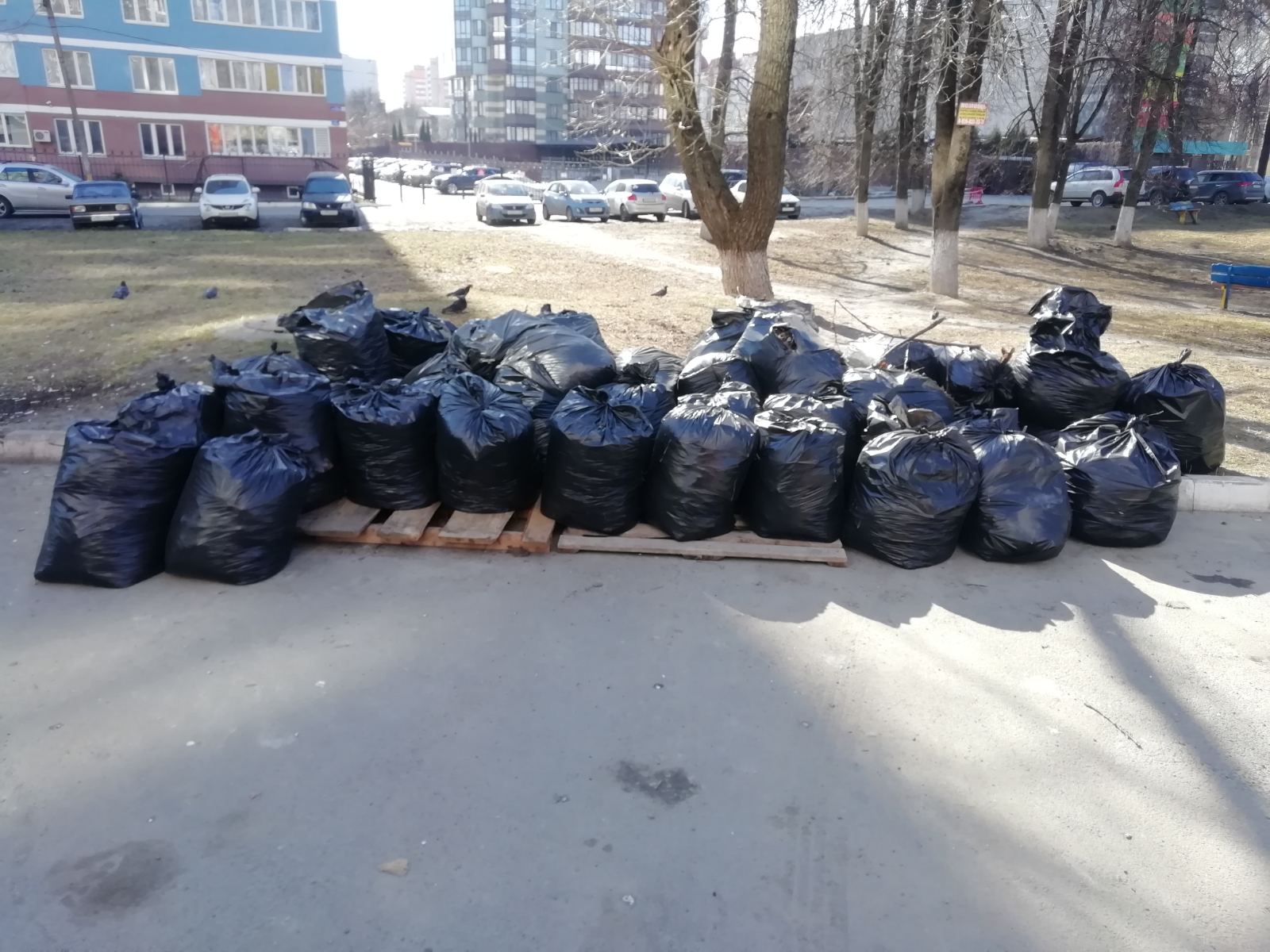 Жителям Брянской области пояснили, как избавиться от растительных отходов по закону