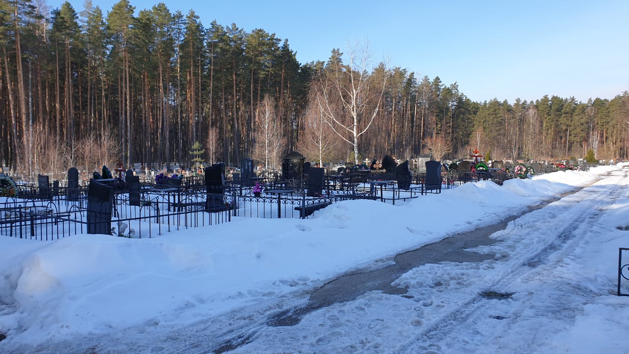 Брянск белые берега 172. Кладбище Полпино Брянск. Кладбище белые берега. Новое кладбище Брянск. Большое полпинокладбтще.