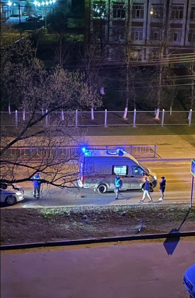 Сегодня ночью в Брянске под автомобиль попали мужчина и собака