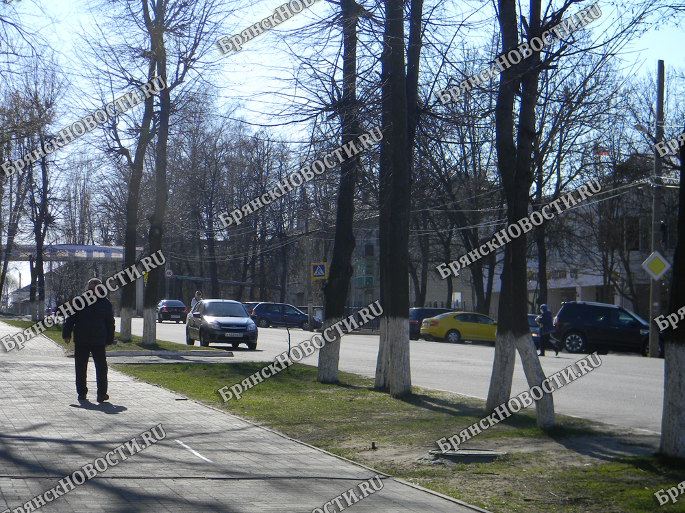 В Новозыбкове сын пошел против отца