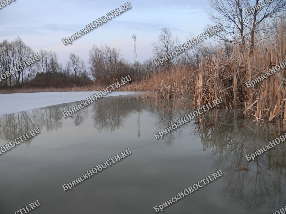 Сегодня впервые МЧС сообщило об отсутствии льда на реках и озерах Брянской области