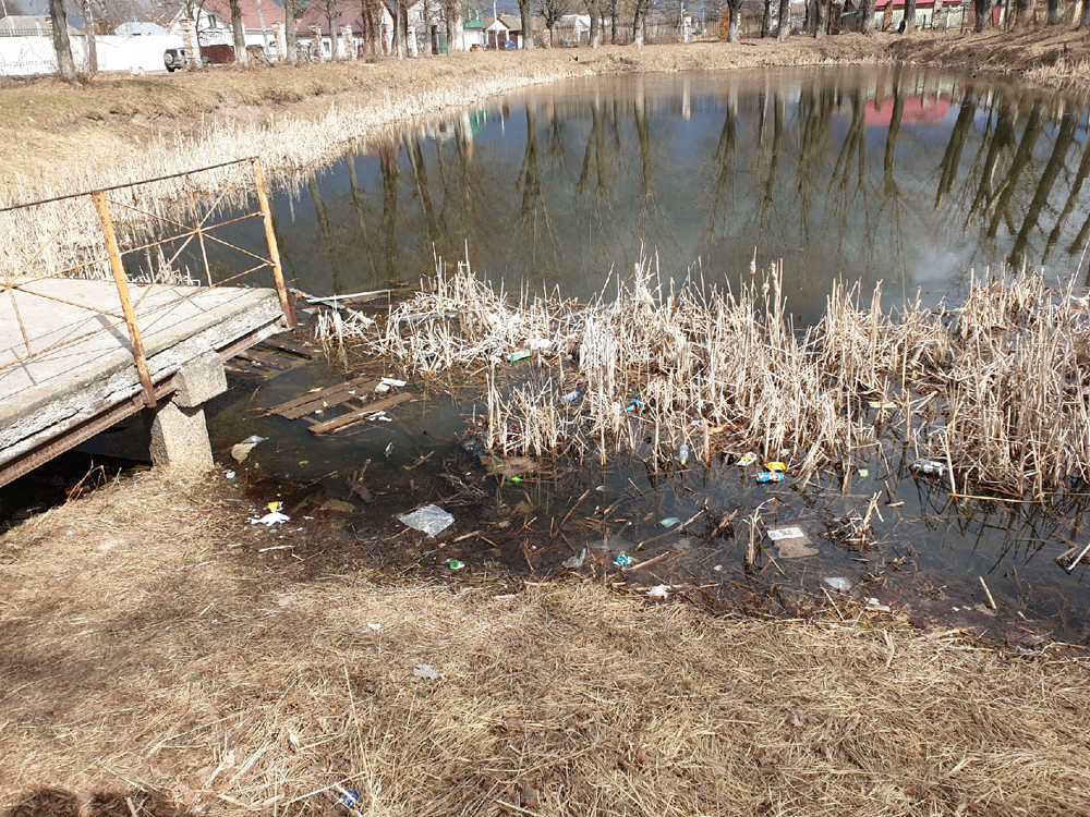 Пакеты, бутылки и даже поддоны – пруд в горпарке Клинцов завалили мусором