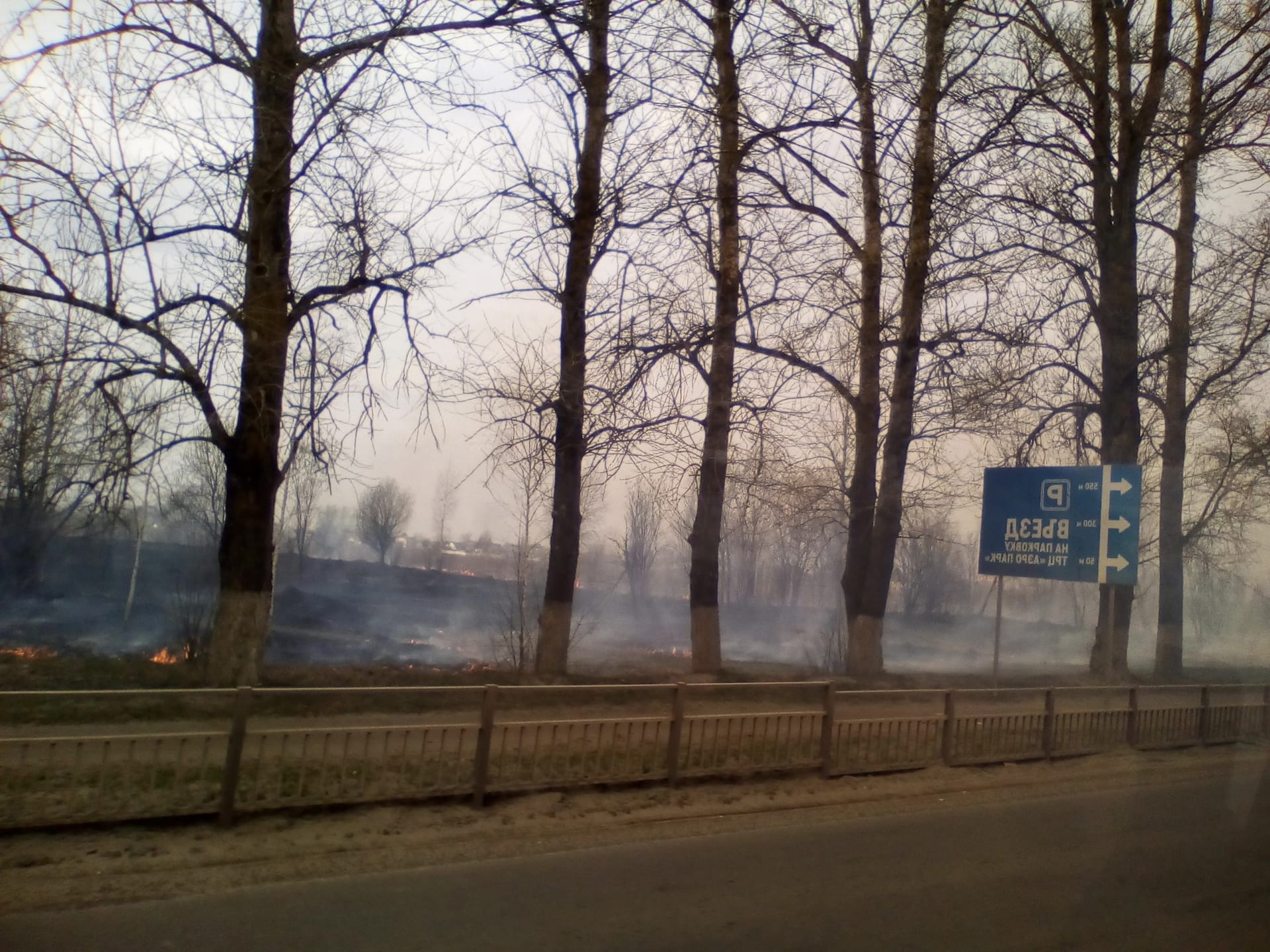 В Брянске горит поле напротив «Аэропарка»