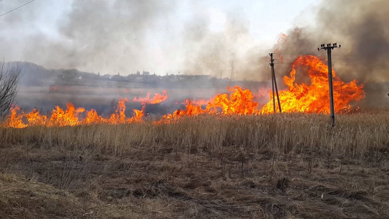 За первый весенний месяц пожарные Брянской области 160 раз выезжали на горения сухой травы