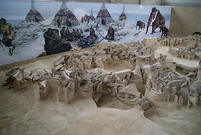 В Брянской области готовится грандиозная реконструкция музея «Палеолит»
