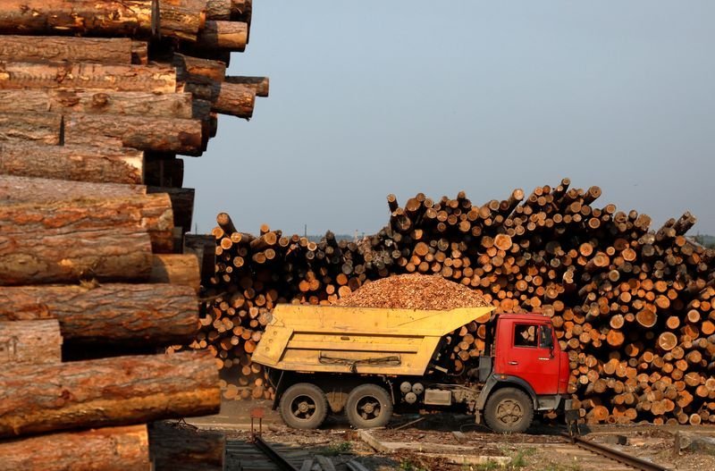 В России введут пошлины на экспорт лесоматериалов. Что ждет малый бизнес