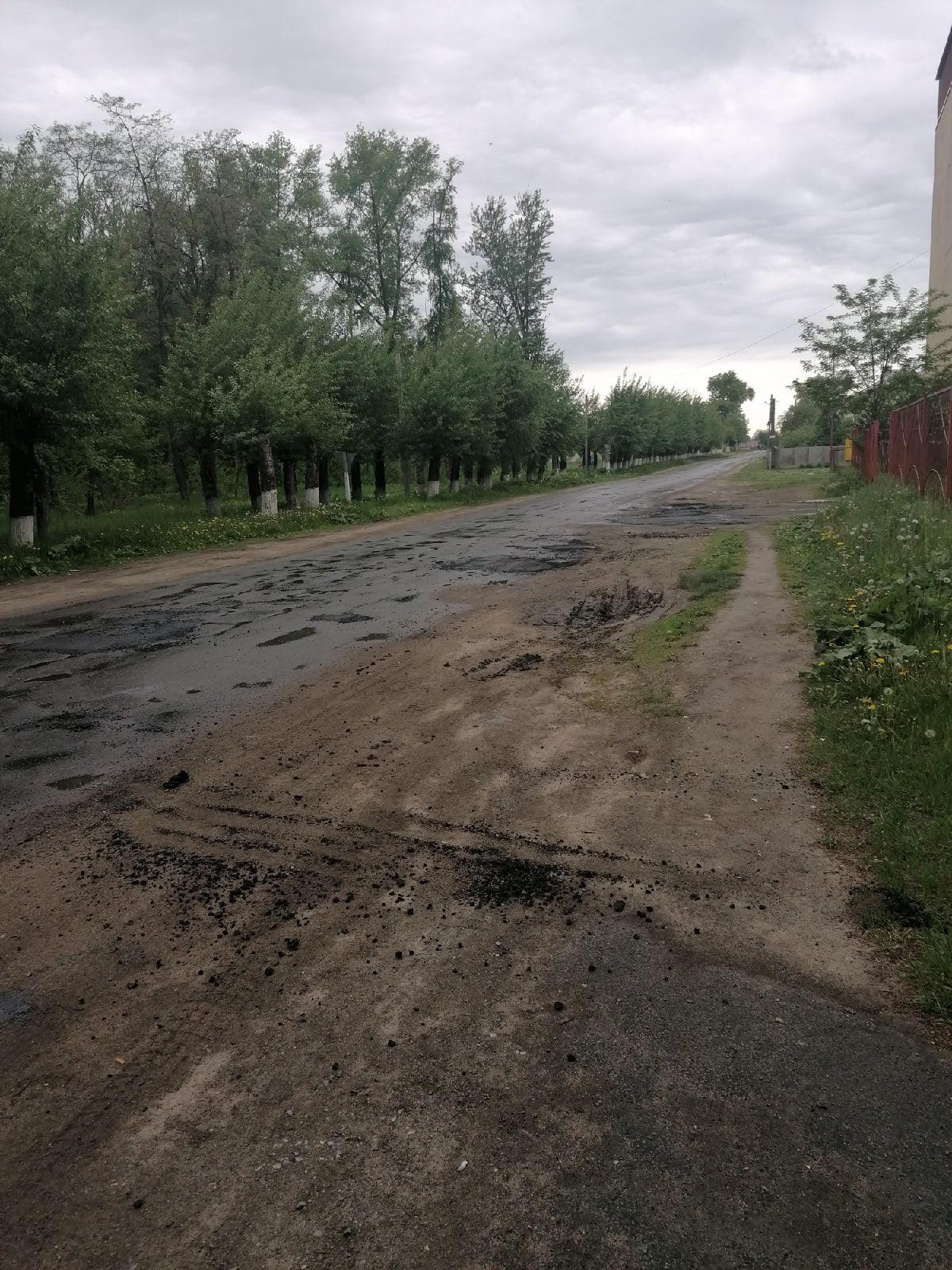 «Я тебе дорогу делаю, спасибо бы сказал»: дорожных рабочих в Клинцовском районе не смутил дождь