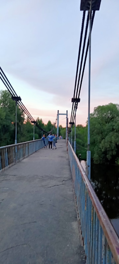 Брянцы обратили внимание на состояние подвесного моста в роще Соловьи